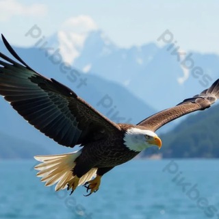 Telegram profile photo for Our eagles