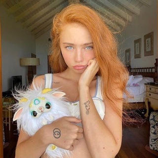 Telegram profile photo for кищури|сливы ренаты ри