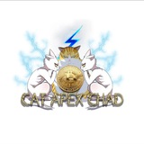 Telegram profile photo for CAT APEX CHAD 💹