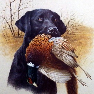 Telegram profile photo for Ножи | Рыбалка | Охота