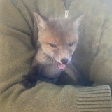 Telegram profile photo for Ta Z ik