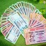 Telegram profile photo for Income With Tuhin BD