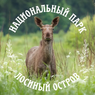 Telegram profile photo for Лосиный остров-хочу на природу!