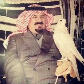 Telegram profile photo for دمّاح