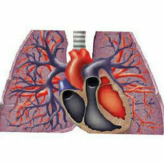 Telegram profile photo for pulmonary courses and books