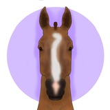Telegram profile photo for Чк тгк