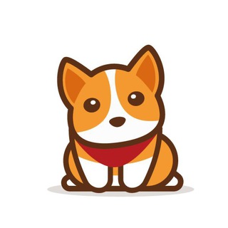 Telegram profile photo for CCDOGE: SHIB Killer