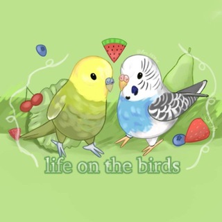 Telegram profile photo for Life of the birds