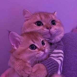 Telegram profile photo for афигенный гороскоп