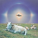 Telegram profile photo for Айти на полях