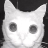 Telegram profile photo for кварцевание