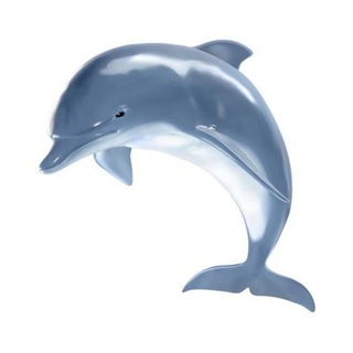 Telegram profile photo for raerobloc nit ๐ ื