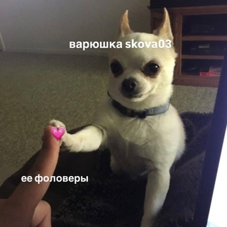 Telegram group profile photo for чатик уебышей 🙂↕️