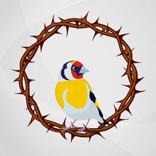 Telegram profile photo for Тернистый путь