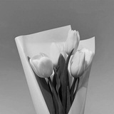 Telegram profile photo for سڪْينه!،وملجأ📆🌼) ء