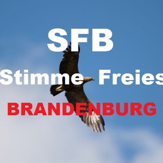 Telegram profile photo for SFB - Stimme Freies Brandenburg