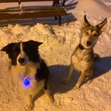 Telegram profile photo for дипп, ко мне!