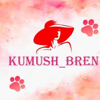 Telegram group profile photo for Shim