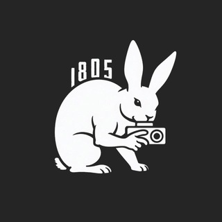 Telegram profile photo for 1805