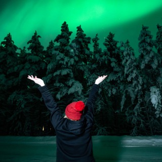 Telegram profile photo for Лиса в лесу