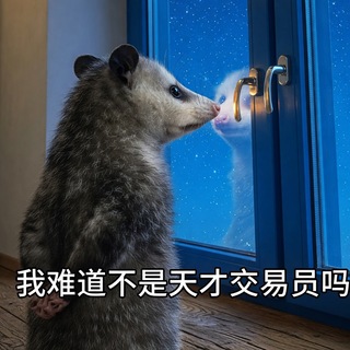 Telegram profile photo for 币圈交易日记💸