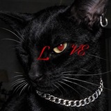 Telegram profile photo for diablillo