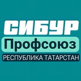 Telegram profile photo for СИБУР РТ Профсоюз