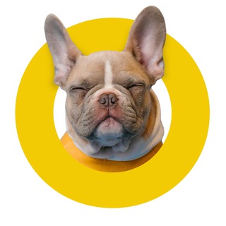 Telegram profile photo for DOGITO