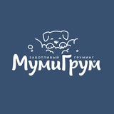 Telegram profile photo for МумиГрум 🐾✂️