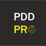 Telegram profile photo for PDD PRO 📰 news