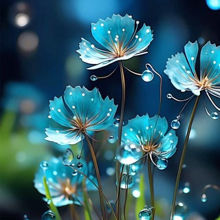 Telegram profile photo for دنیای آرامش