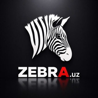 Telegram profile photo for Жалюзи в Ташкенте — Zebra Жалюзи