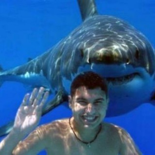 Telegram profile photo for A moment before...
