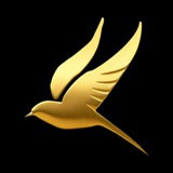 Telegram profile photo for AinaraApp