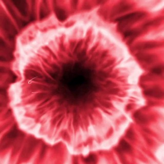 Telegram profile photo for DAVLATIM va JANNATIM