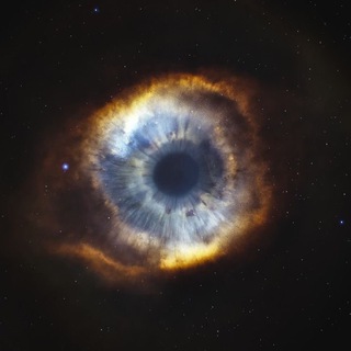 Telegram profile photo for Fork