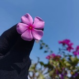 Telegram profile photo for 🌺АН-НИСАЪ"ЗУДАРИЙ"🌺