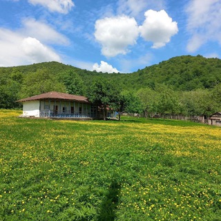 Telegram profile photo for کانال رسمی روستای دیزکوه