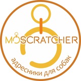 Telegram profile photo for Moscratcher