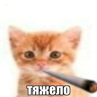 Telegram profile photo for Рабство кисточки