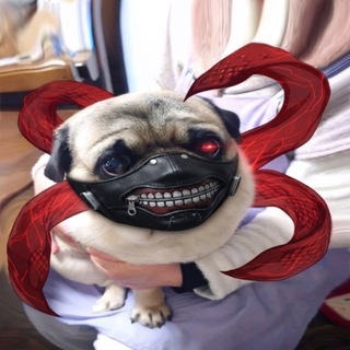 Telegram profile photo for паранойе яна