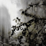 Telegram profile photo for 𝘼𝙧𝙘𝙝𝙞𝙫𝙚 𝙤𝙛 𝙁𝙚𝙚𝙡𝙞𝙣𝙜𝙨