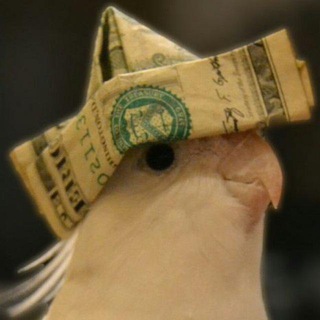 Telegram profile photo for Bird Channel