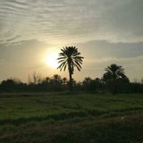 Telegram profile photo for ؏ــــشۅٛاެئيـاެت