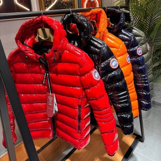 Telegram profile photo for Telegramjacket