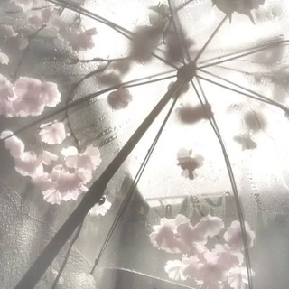 Telegram profile photo for ~Rain