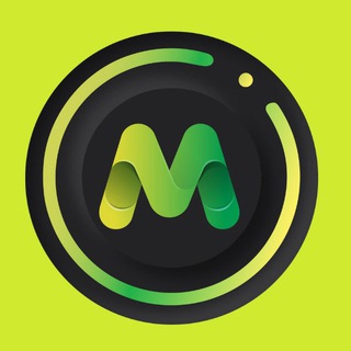 Telegram profile photo for MonkeyFi - Portal 🐵