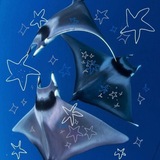 Telegram profile photo for SKAT!¡ info