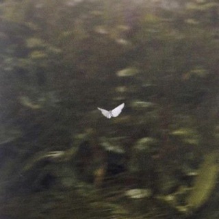Telegram profile photo for 𝖱𝖾𝗏𝖾𝗋𝗂𝖾.