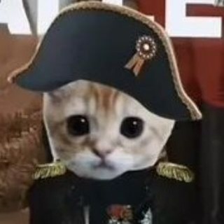 Telegram profile photo for Владения Няполеона